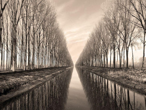 Serene Canal White Modern Wood Framed Art Print with Double Matting by Anonymous