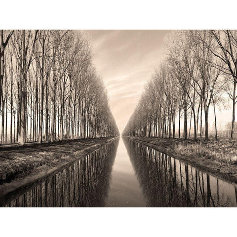 Serene Canal White Modern Wood Framed Art Print by Anonymous