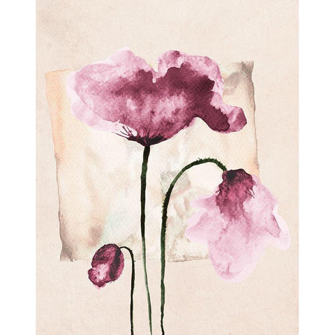 Violet Watercolor Poppies Black Modern Wood Framed Art Print with Double Matting by Jersova, R.