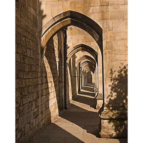 Cloister Arches Black Modern Wood Framed Art Print with Double Matting by Anonymous