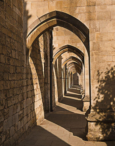 Cloister Arches Black Ornate Wood Framed Art Print with Double Matting by Anonymous