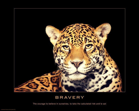 Bravery White Modern Wood Framed Art Print with Double Matting by Anonymous