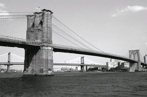 Brooklyn Bridge and Manhattan Bridge,day White Modern Wood Framed Art Print with Double Matting by Maier, Phil