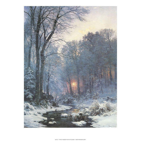 A Twilit Wooded River Black Modern Wood Framed Art Print by Andersen-Lunby, Anderson