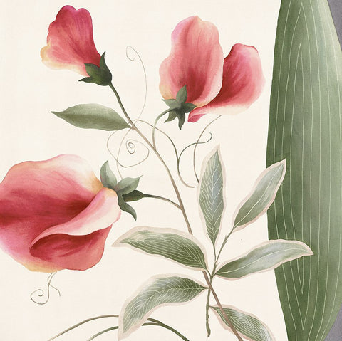 Passion Flower White Modern Wood Framed Art Print with Double Matting by Unknown