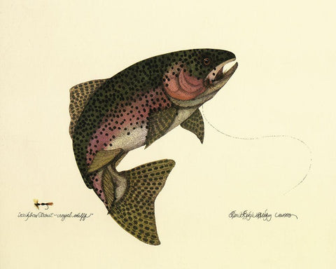 Rainbow Trout Black Ornate Wood Framed Art Print with Double Matting by Unknown
