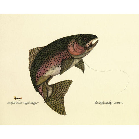 Rainbow Trout Black Modern Wood Framed Art Print by Unknown