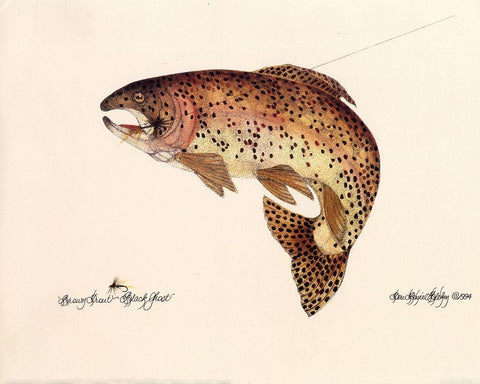 Brown Trout White Modern Wood Framed Art Print with Double Matting by Unknown