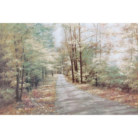 Garden Path White Modern Wood Framed Art Print by Unknown