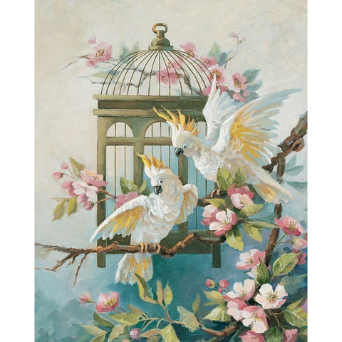 Two Cockatiels Gold Ornate Wood Framed Art Print with Double Matting by Unknown