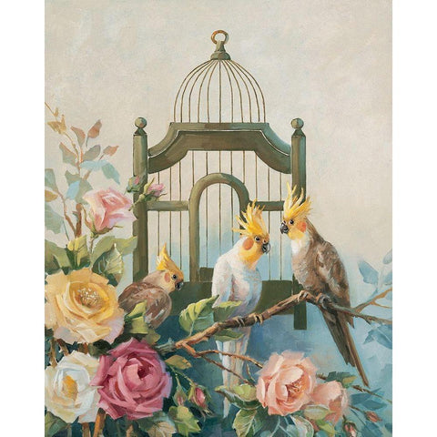 Three Cockatiels Black Modern Wood Framed Art Print by Unknown