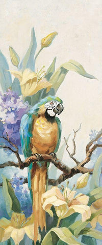 Parrot Panel I Black Ornate Wood Framed Art Print with Double Matting by Unknown