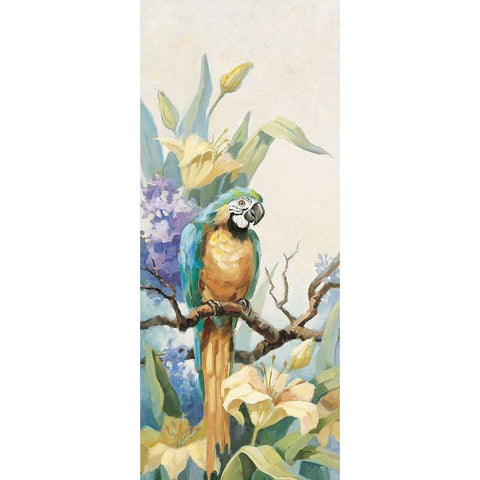 Parrot Panel I Black Modern Wood Framed Art Print with Double Matting by Unknown