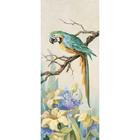Parrot Panel II White Modern Wood Framed Art Print by Unknown