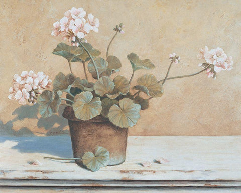 Potted Geranium II Black Ornate Wood Framed Art Print with Double Matting by Unknown