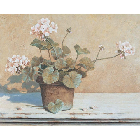 Potted Geranium II Black Modern Wood Framed Art Print with Double Matting by Unknown
