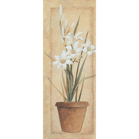 Potted Lily White Modern Wood Framed Art Print by Unknown