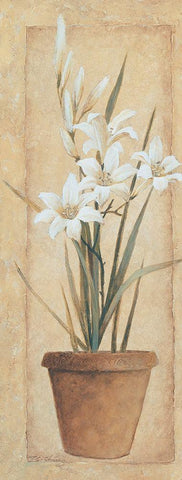 Potted Lily Black Ornate Wood Framed Art Print with Double Matting by Unknown