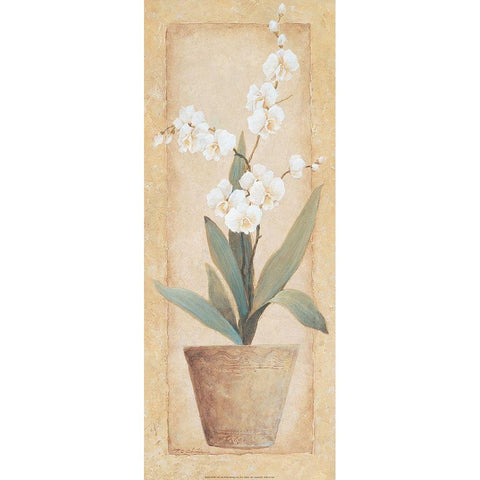 Potted Amarylis Gold Ornate Wood Framed Art Print with Double Matting by Unknown