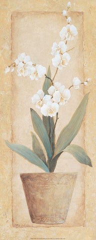 Potted Amarylis White Modern Wood Framed Art Print with Double Matting by Unknown