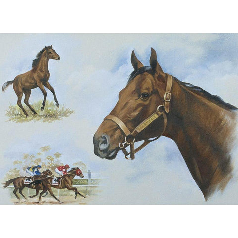 Thoroughbred I White Modern Wood Framed Art Print by Unknown
