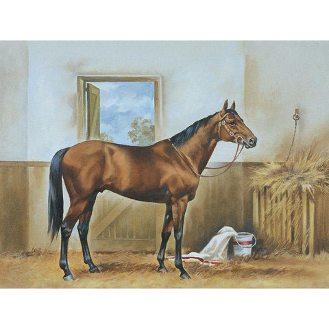 Thoroughbred II Gold Ornate Wood Framed Art Print with Double Matting by Unknown