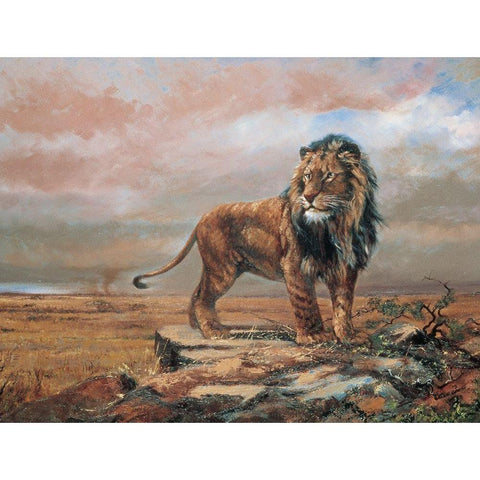 Savanne Lion Black Modern Wood Framed Art Print by Unknown