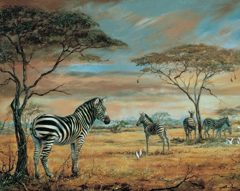 Savanne Zebras Black Ornate Wood Framed Art Print with Double Matting by Unknown
