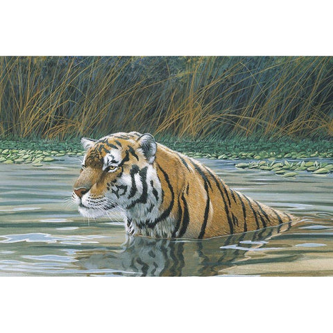 Bengal Tiger Gold Ornate Wood Framed Art Print with Double Matting by Unknown