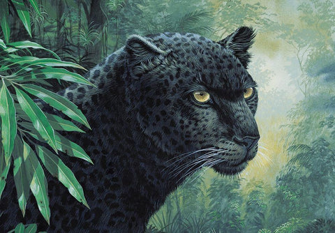 Black Panther Black Ornate Wood Framed Art Print with Double Matting by Unknown