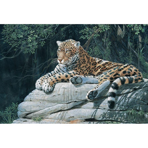 Jaguar Gold Ornate Wood Framed Art Print with Double Matting by Unknown