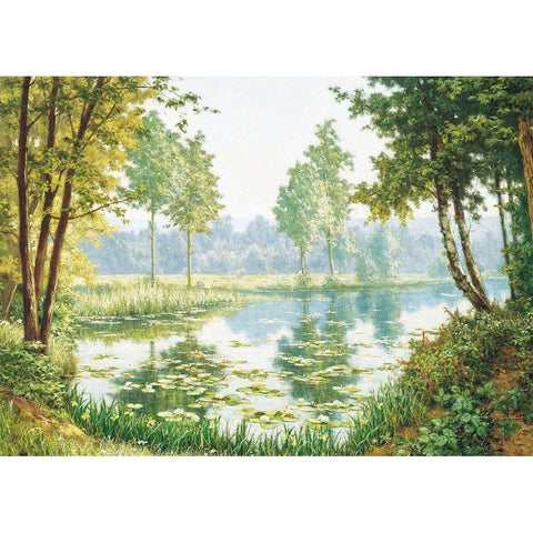 Misty Lake Black Modern Wood Framed Art Print with Double Matting by Unknown