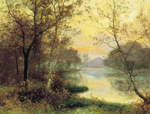 Birch Trees White Modern Wood Framed Art Print with Double Matting by Unknown