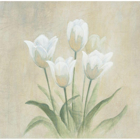 White Tulips White Modern Wood Framed Art Print by Unknown