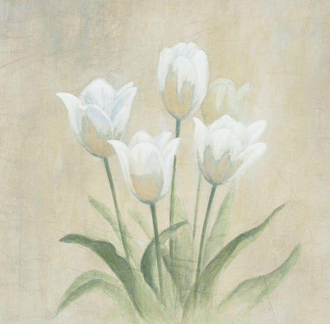 White Tulips Black Ornate Wood Framed Art Print with Double Matting by Unknown