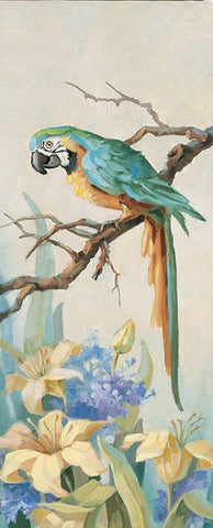Parrot Panel I White Modern Wood Framed Art Print with Double Matting by Unknown