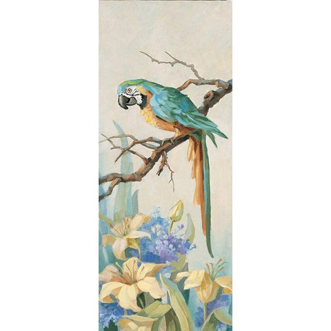 Parrot Panel I Black Modern Wood Framed Art Print by Unknown