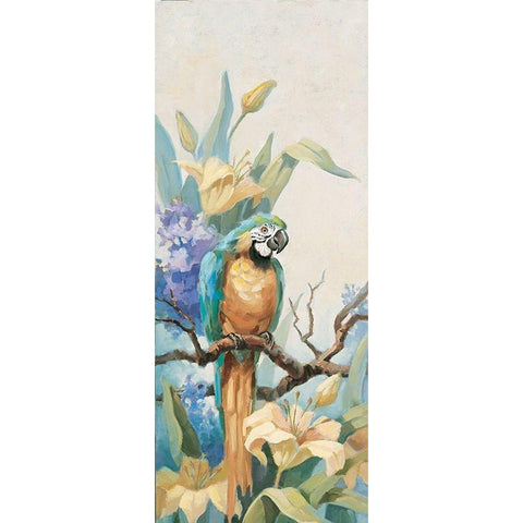 Parrot Panel II White Modern Wood Framed Art Print by Unknown