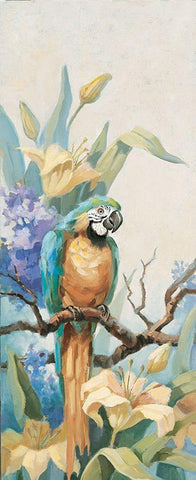 Parrot Panel II Black Ornate Wood Framed Art Print with Double Matting by Unknown