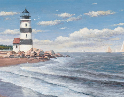 Lighthouse Shoals Black Ornate Wood Framed Art Print with Double Matting by Unknown