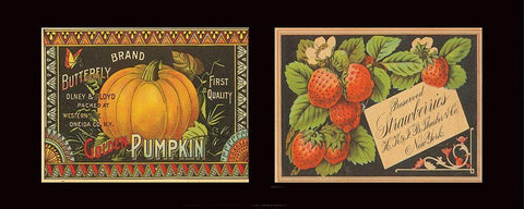 Pumpkin and Strawberries Black Ornate Wood Framed Art Print with Double Matting by Unknown