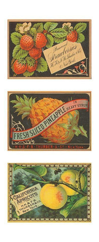 Strawbwerries-Pineapple-Apricots White Modern Wood Framed Art Print with Double Matting by Unknown