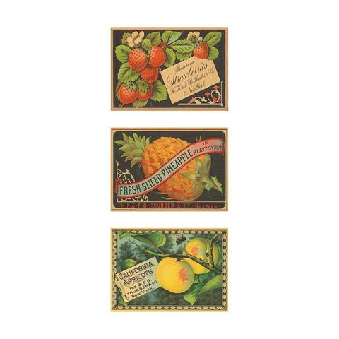 Strawbwerries-Pineapple-Apricots Gold Ornate Wood Framed Art Print with Double Matting by Unknown