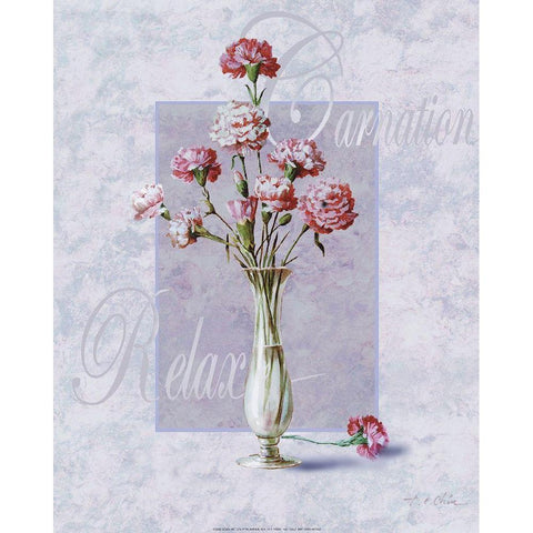 Carnation Black Modern Wood Framed Art Print with Double Matting by Unknown