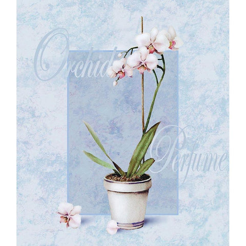 Orchid Black Modern Wood Framed Art Print by Unknown