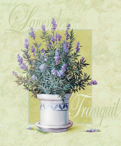 Lavendar White Modern Wood Framed Art Print with Double Matting by Unknown