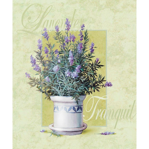 Lavendar Black Modern Wood Framed Art Print with Double Matting by Unknown