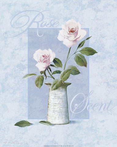 Rose White Modern Wood Framed Art Print with Double Matting by Unknown