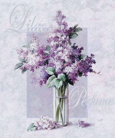 Lilac White Modern Wood Framed Art Print with Double Matting by Unknown