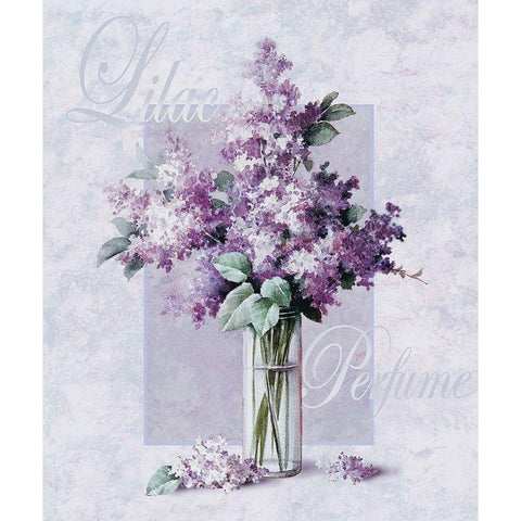 Lilac Black Modern Wood Framed Art Print with Double Matting by Unknown